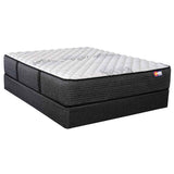 Back-Care Estes II Latex Extra Firm Mile High Mattress
